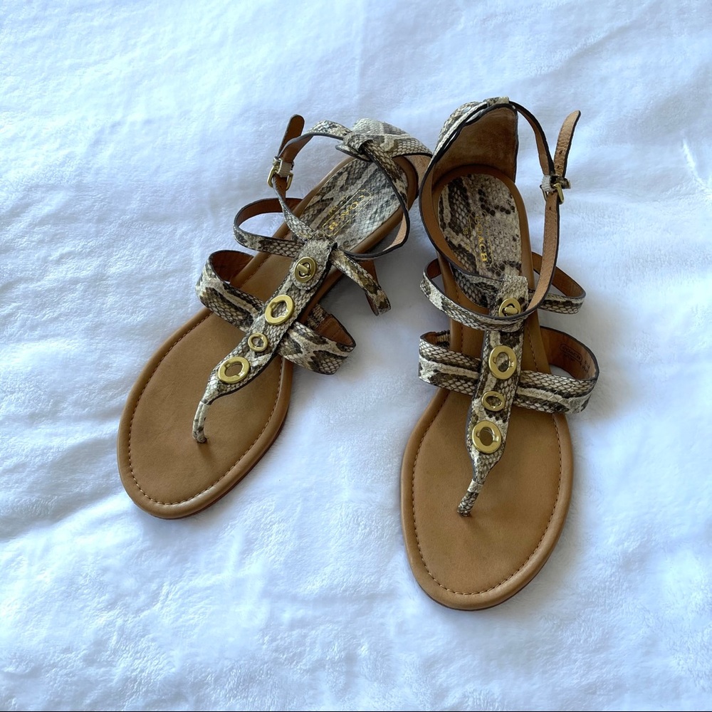 Coach Vicky sandals wedge Sz 11 snake print